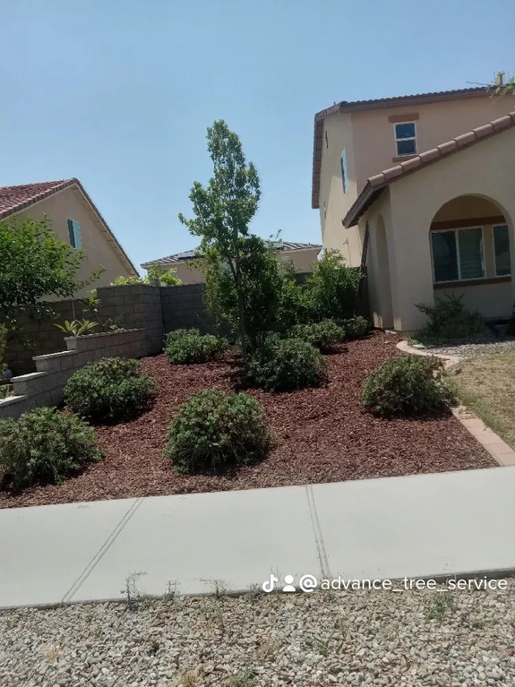 Trusted yard maintenance with custom design in Ontario, CA by Advance Trees Service