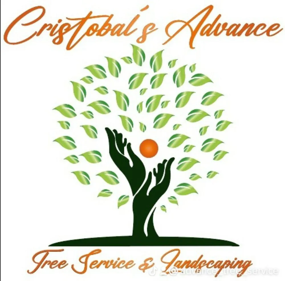 Local landscape design in Ontario, CA - Advance Trees Service