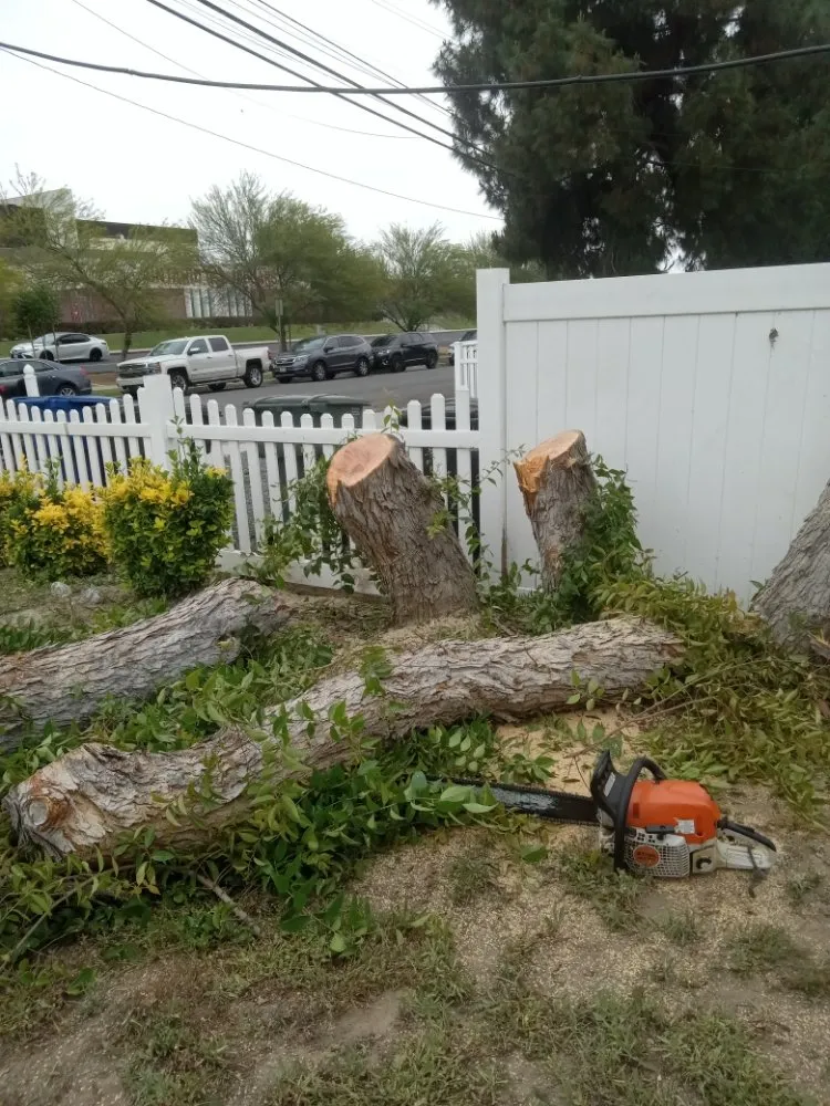 Custom residential landscaping for homes in Ontario, CA by Advance Trees Service