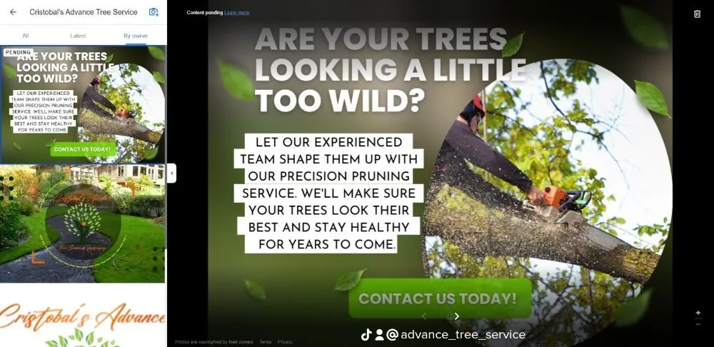 Professional yard cleanup service in Ontario, CA - Advance Trees Service