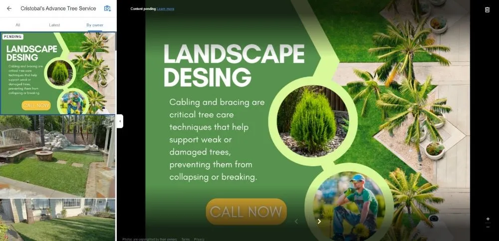 Trusted lawn care service in Ontario, CA - Advance Trees Service