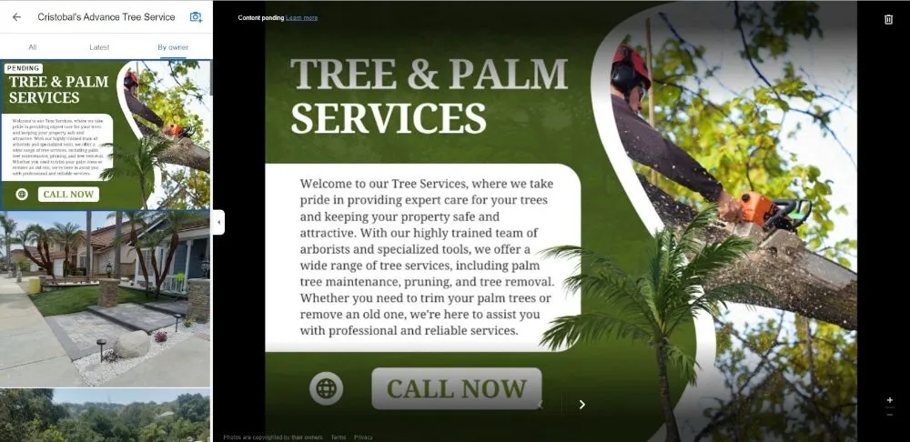 Local landscape design in Ontario, CA - Advance Trees Service