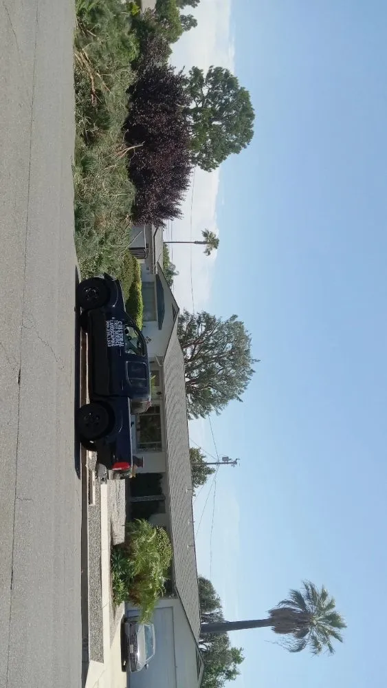 Reliable landscape design in Ontario, CA - Advance Trees Service