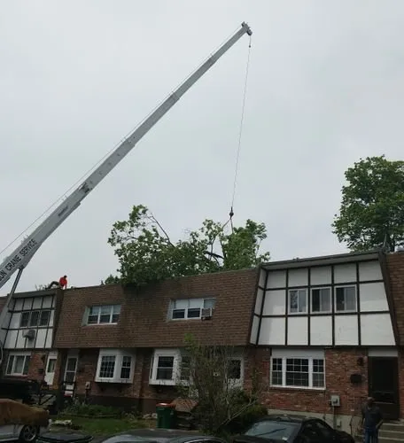 Custom lawn mowing service in Fishkill, NY by ADVANCED ARBORISTS & LANDSCAPERS