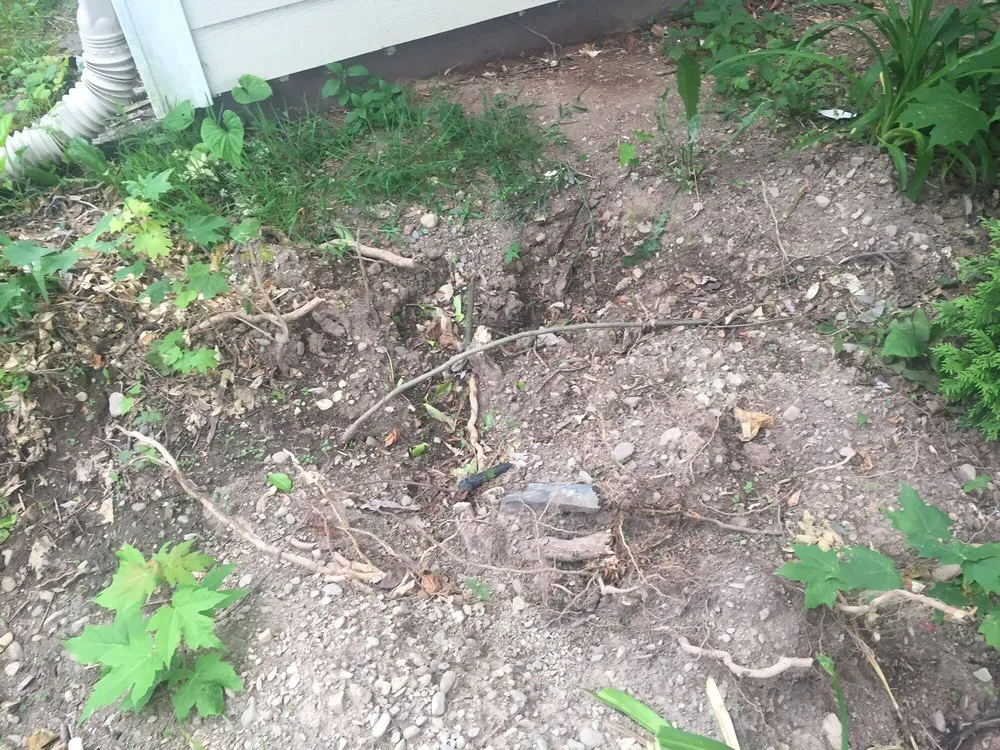 Local yard maintenance for beautiful yards in Fishkill, NY by ADVANCED ARBORISTS & LANDSCAPERS