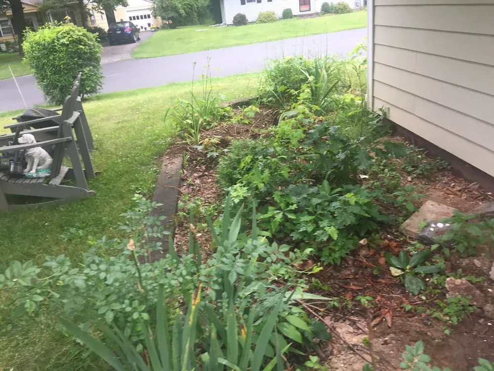 Local residential landscaping in Fishkill, NY by ADVANCED ARBORISTS & LANDSCAPERS