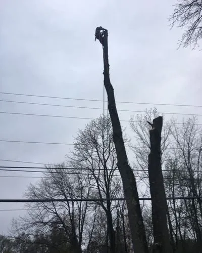 Expert landscape design for year-round maintenance across Fishkill, NY - ADVANCED ARBORISTS & LANDSCAPERS