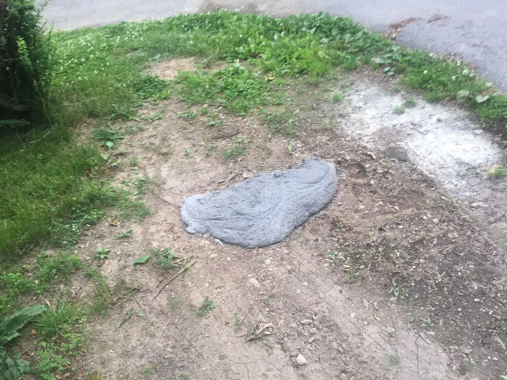 Trusted lawn care service in Fishkill, NY - ADVANCED ARBORISTS & LANDSCAPERS