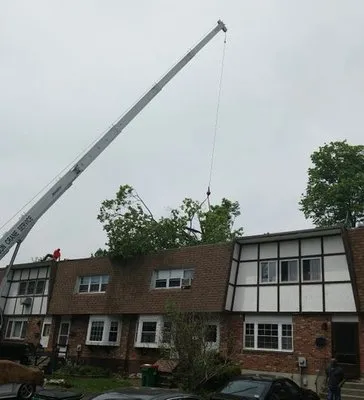 ADVANCED ARBORISTS & LANDSCAPERS