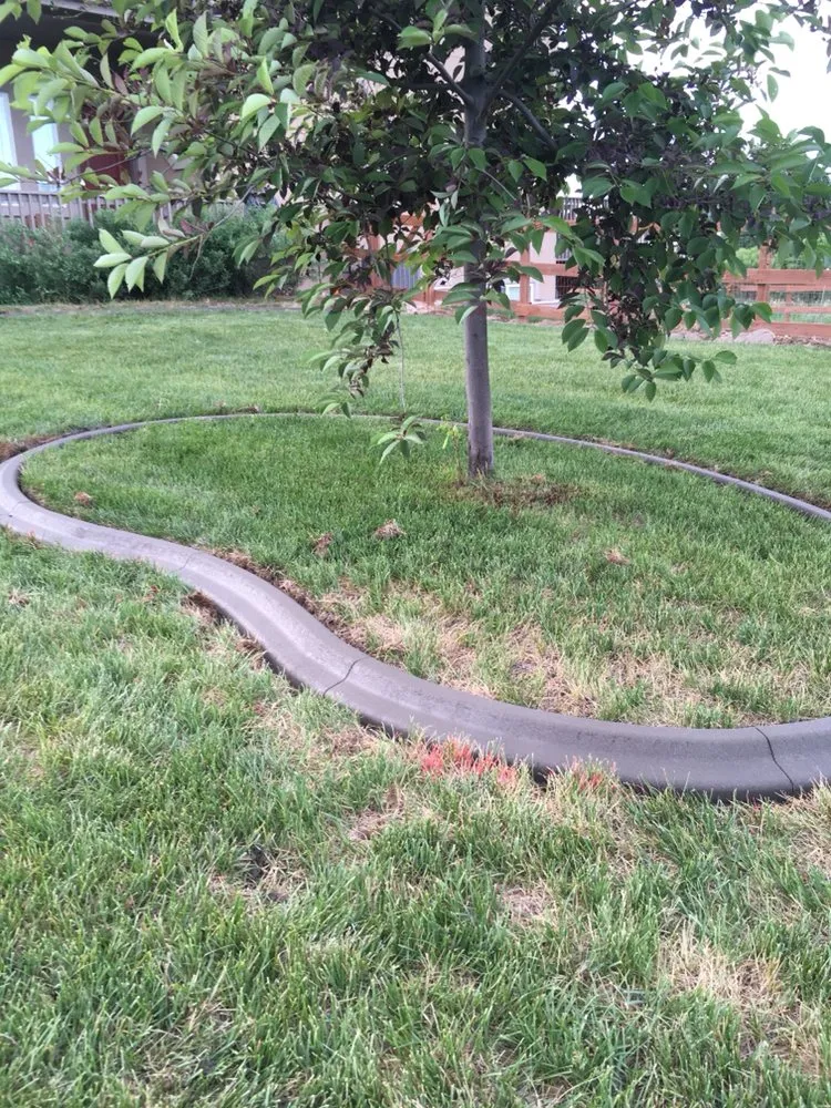 Affordable yard cleanup service in Fort Collins, CO - Advanced Curb Design