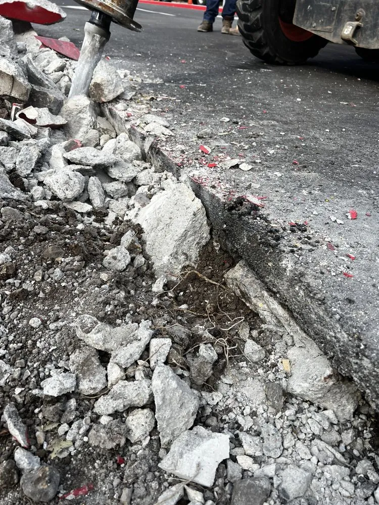 Professional lawn mowing service in San Fernando Valley, CA - Advanced Demolition Contractors