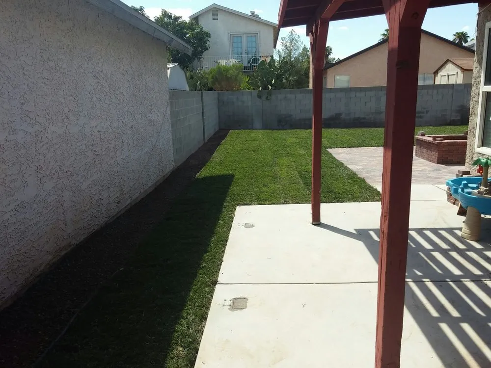 Local yard cleanup service in Las Vegas, NV by Advanced Gardening Service