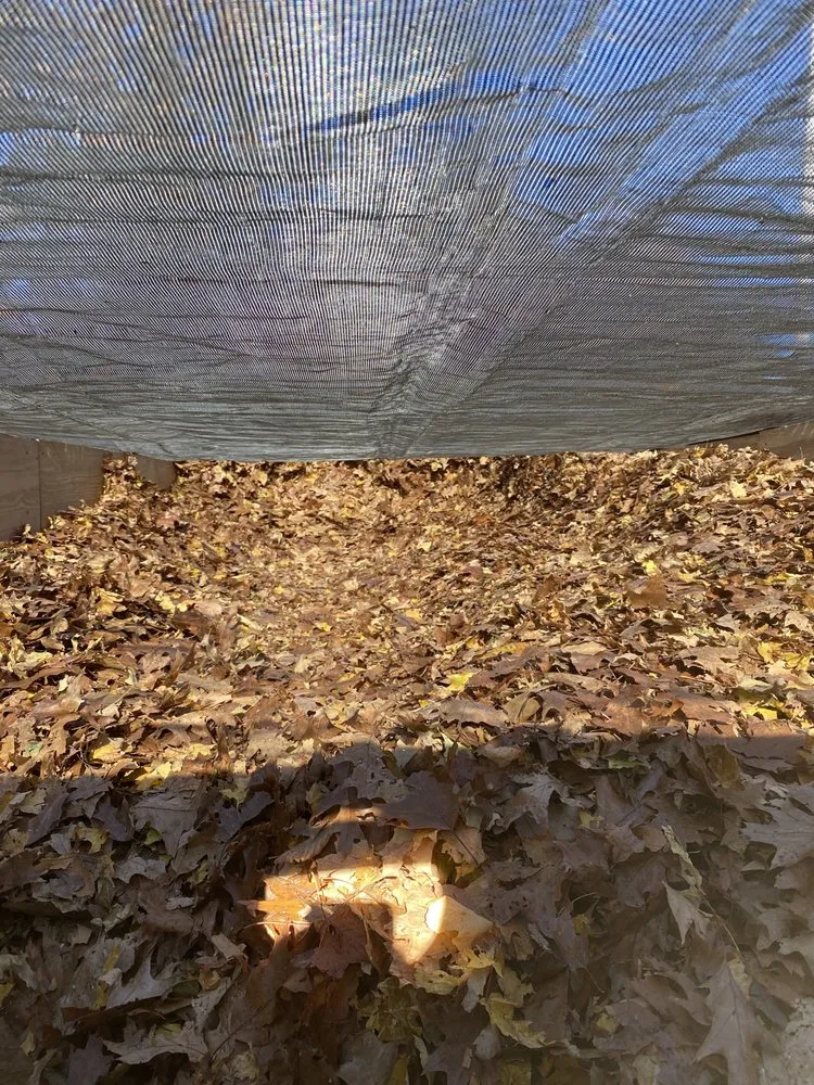 Professional landscape installation for outdoor upgrades across Holland, MI - Advanced Group Property Maintnance