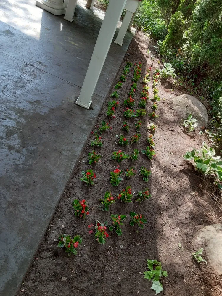 Expert yard cleanup service in Holland, MI by Advanced Group Property Maintnance