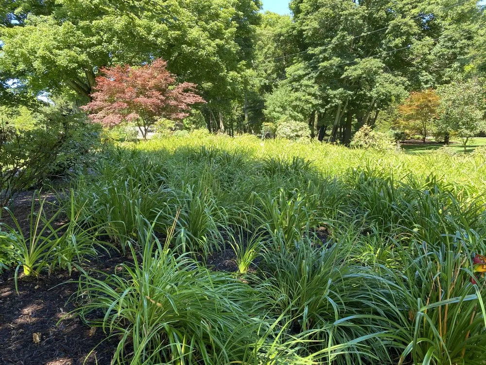 Affordable outdoor landscaping experts serving Holland, MI - Advanced Group Property Maintnance