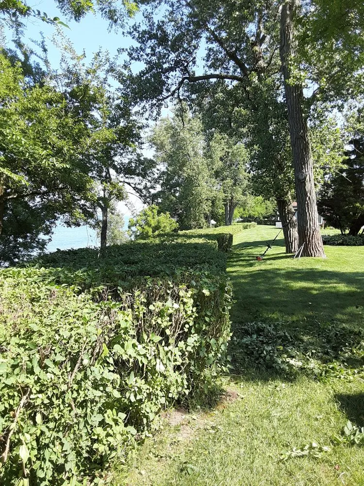 Trusted landscaping services experts serving Holland, MI - Advanced Group Property Maintnance