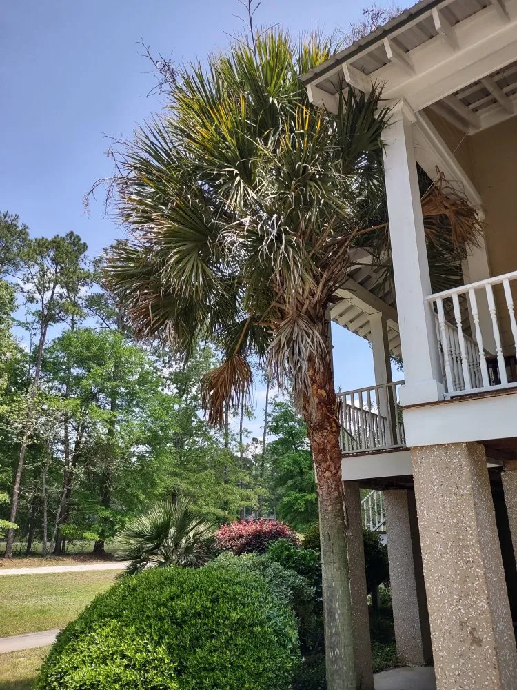 Affordable lawn mowing service for outdoor upgrades in Beaufort, SC by Advanced Home and Lawn