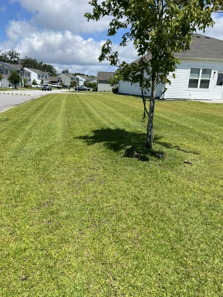 Expert lawn care service in Beaufort, SC - Advanced Home and Lawn