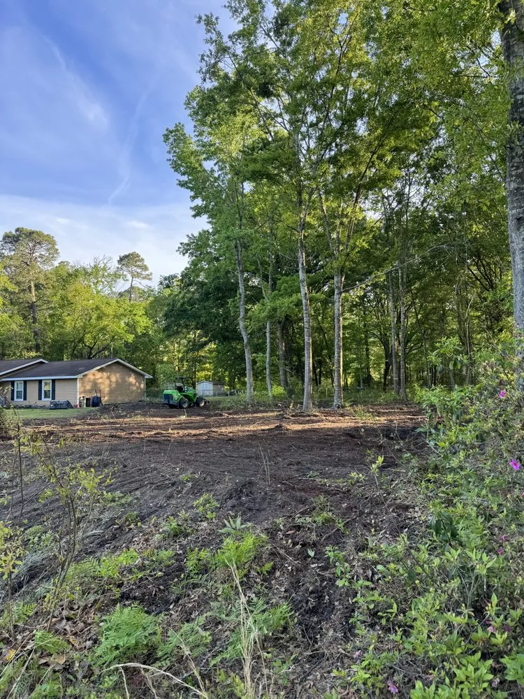 Expert yard maintenance for residential properties in Beaufort, SC by Advanced Home and Lawn