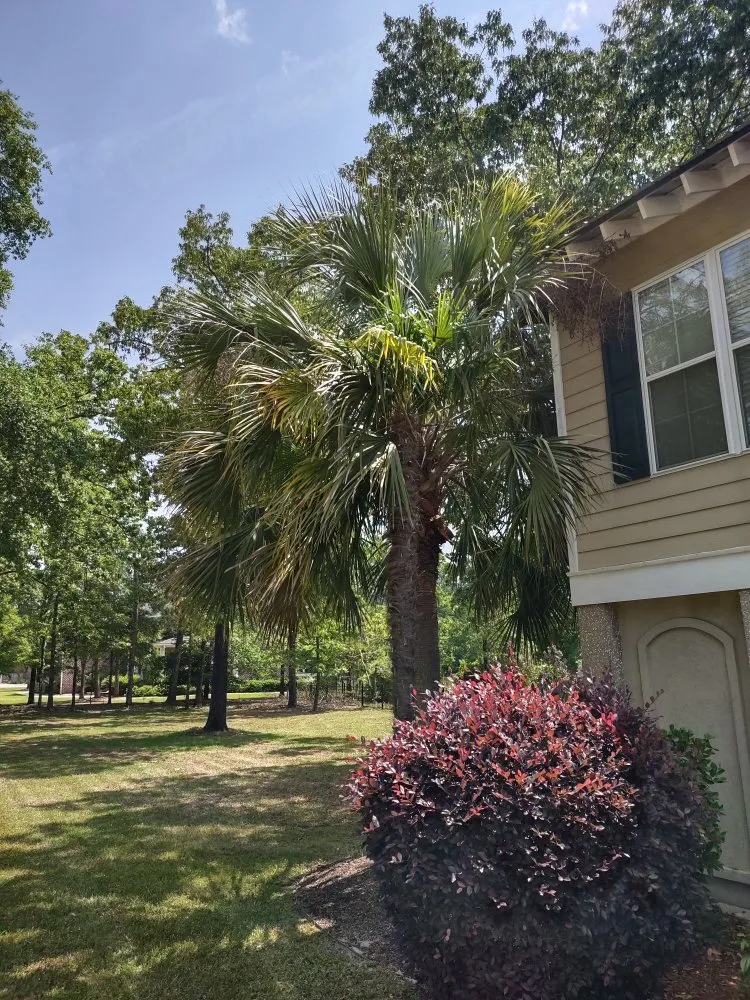 Local lawn mowing service in Beaufort, SC - Advanced Home and Lawn