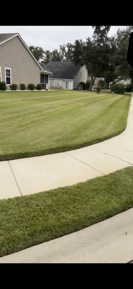 Professional yard cleanup service in Beaufort, SC by Advanced Home and Lawn