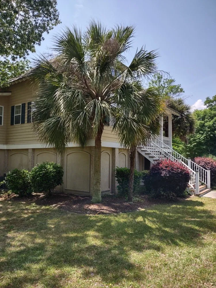 Professional landscape design in Beaufort, SC by Advanced Home and Lawn