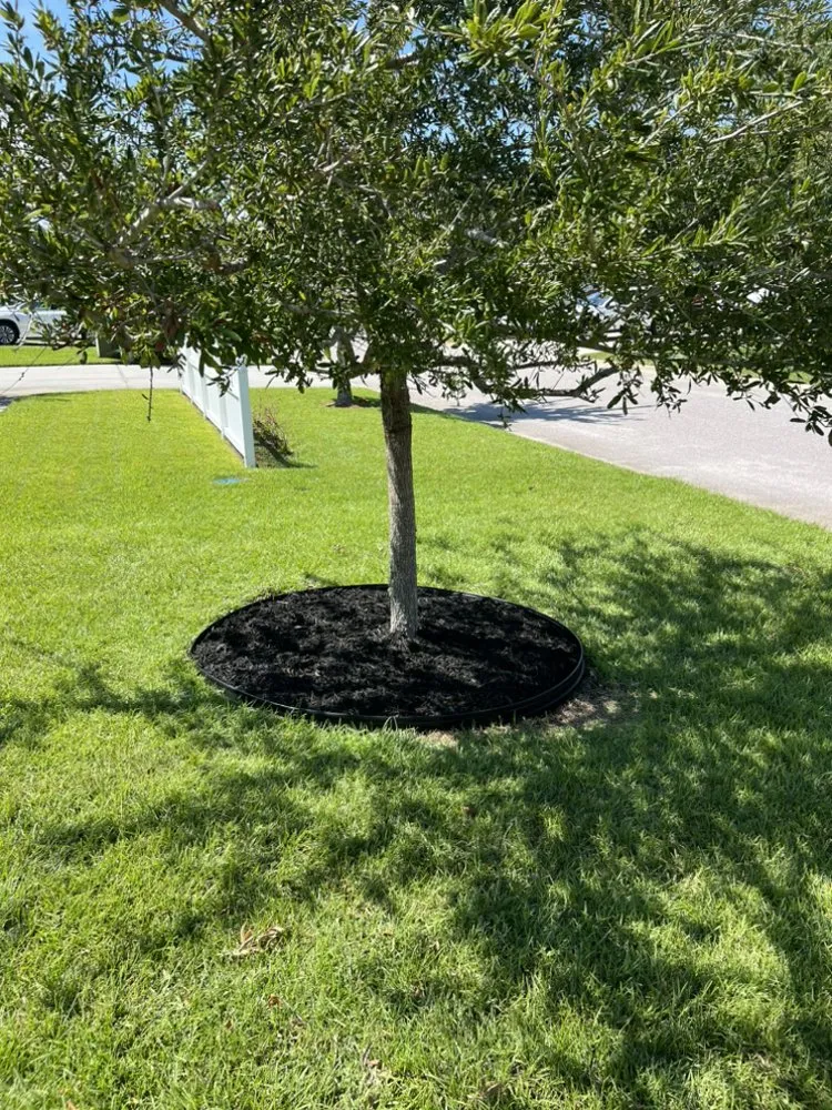 Custom residential landscaping in Beaufort, SC by Advanced Home and Lawn