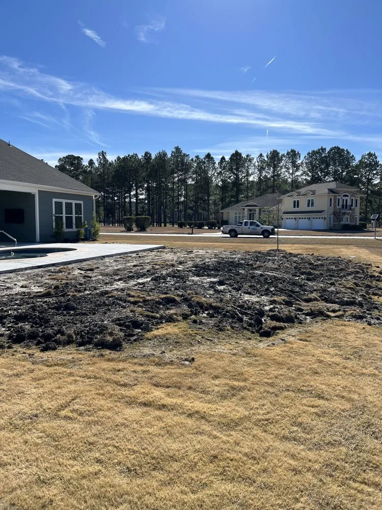 Top-rated lawn care service experts serving Beaufort, SC - Advanced Home and Lawn