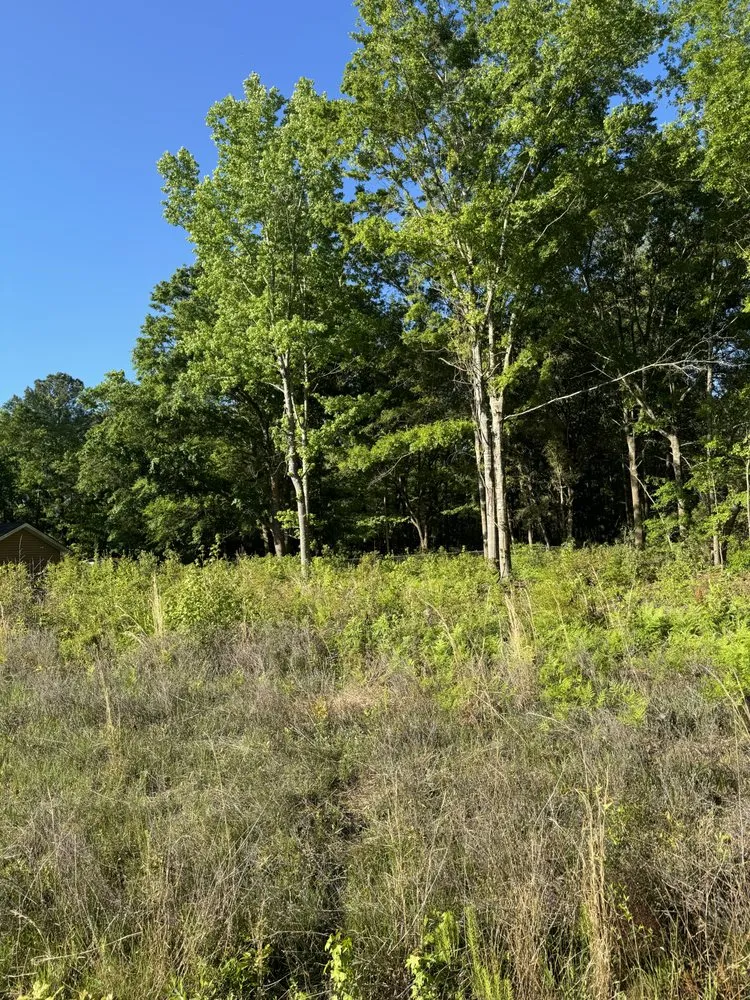 Trusted landscape design with custom design across Beaufort, SC - Advanced Home and Lawn