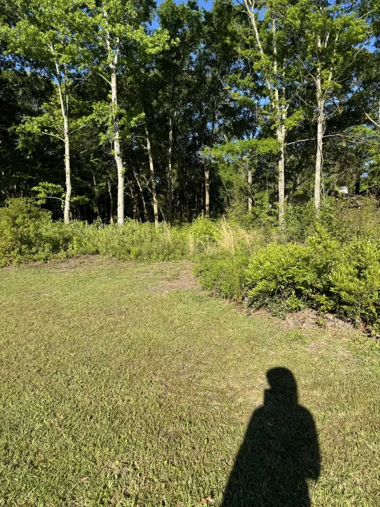 Local lawn care service for residential properties across Beaufort, SC - Advanced Home and Lawn