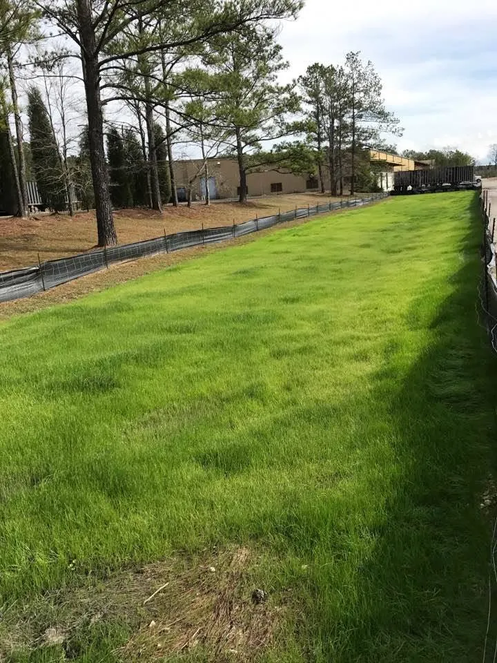 Expert landscape design in Charleston, SC - Advanced Hydroseeding and Landscaping