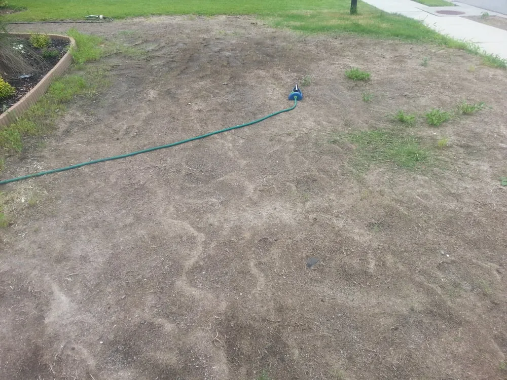 Professional yard cleanup service experts serving Charleston, SC - Advanced Hydroseeding and Landscaping