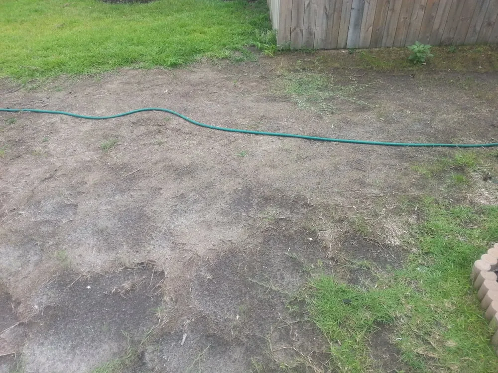 Top-rated landscape installation for residential properties in Charleston, SC by Advanced Hydroseeding and Landscaping