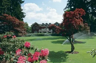 Custom yard cleanup service in Niles, MI by Advanced Irrigation