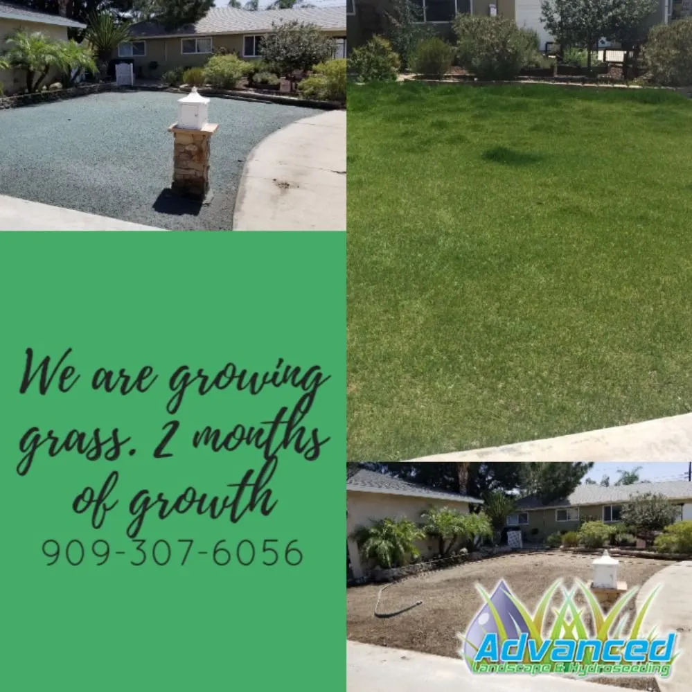Local lawn mowing service in Mentone, CA - Advanced Landscape and Hydroseeding