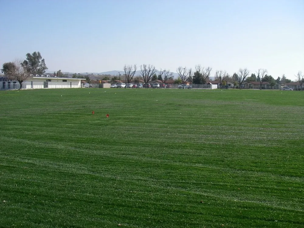 Professional garden landscaping for beautiful yards in Mentone, CA by Advanced Landscape and Hydroseeding