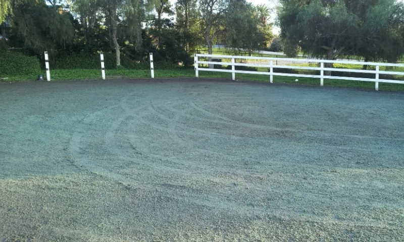 Trusted residential landscaping in Mentone, CA - Advanced Landscape and Hydroseeding