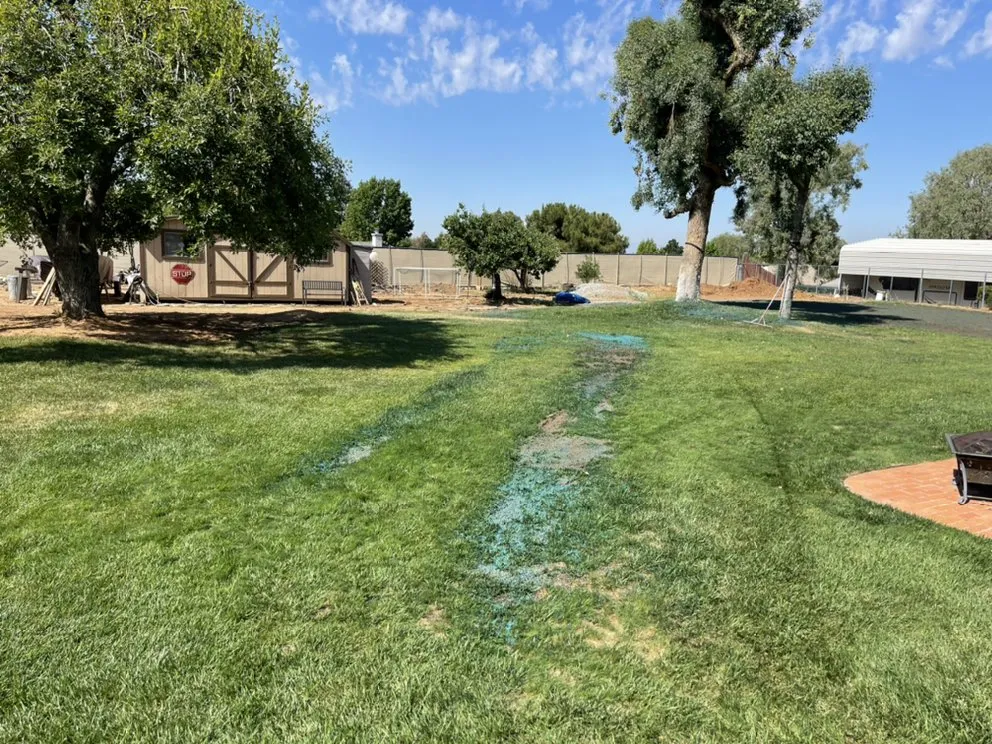 Custom residential landscaping in Mentone, CA - Advanced Landscape and Hydroseeding