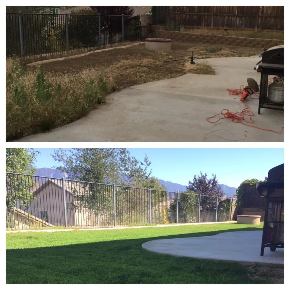 Professional outdoor landscaping experts serving Mentone, CA - Advanced Landscape and Hydroseeding