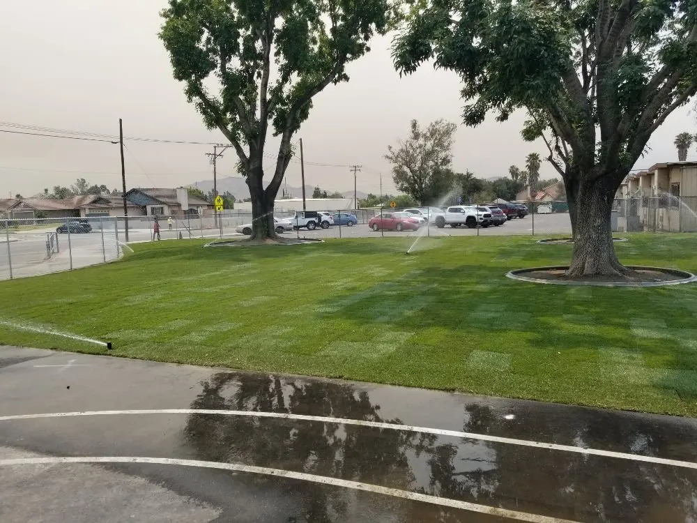 Local lawn mowing service near you in Mentone, CA by Advanced Landscape and Hydroseeding