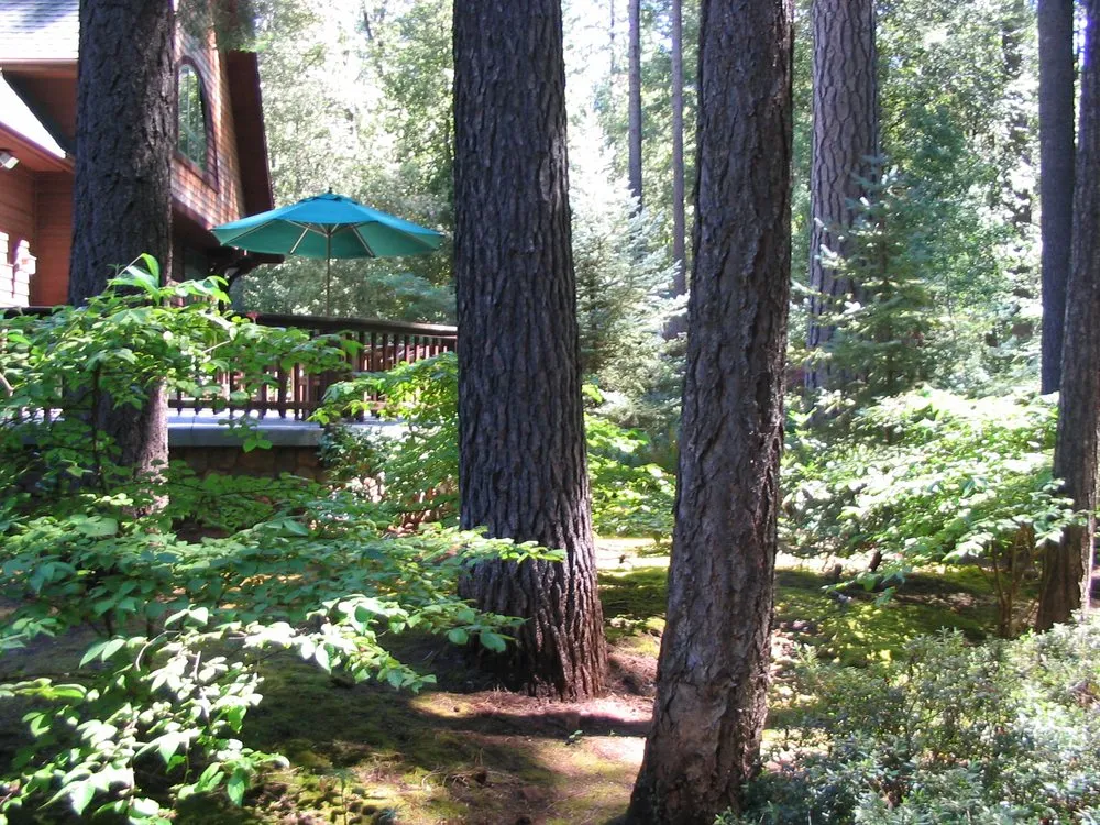 Trusted yard cleanup service in Grants Pass, OR - Advanced Landscape Maintenance