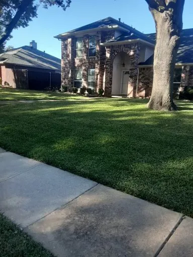Reliable residential landscaping for beautiful yards across Allen, TX - Advanced Landscape Management, LLC