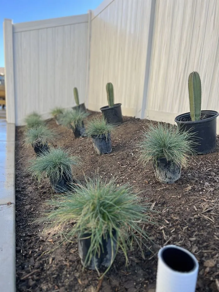 Expert lawn care service for beautiful yards in Valley Center, CA by Advanced Landscape Management