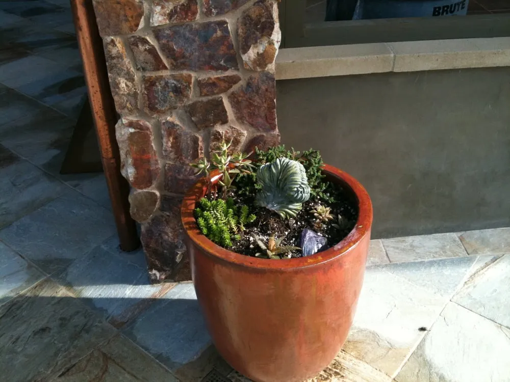 Affordable lawn care service experts serving Valley Center, CA - Advanced Landscape Management