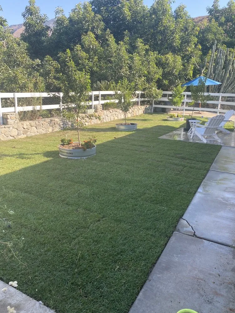 Expert lawn care service for outdoor upgrades across Valley Center, CA - Advanced Landscape Management