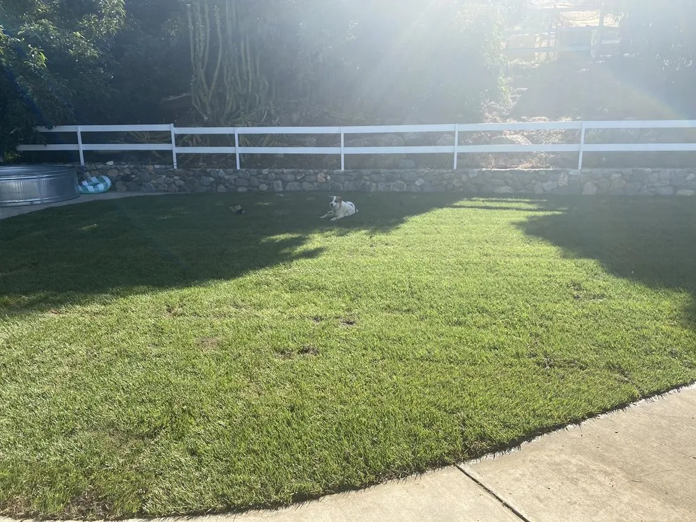 Custom yard cleanup service experts serving Valley Center, CA - Advanced Landscape Management