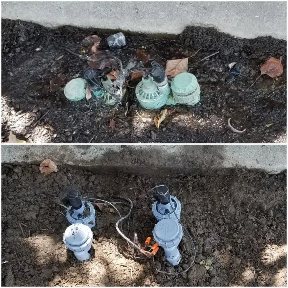 Affordable yard cleanup service for outdoor upgrades across Visalia, CA - Advanced Landscape Management