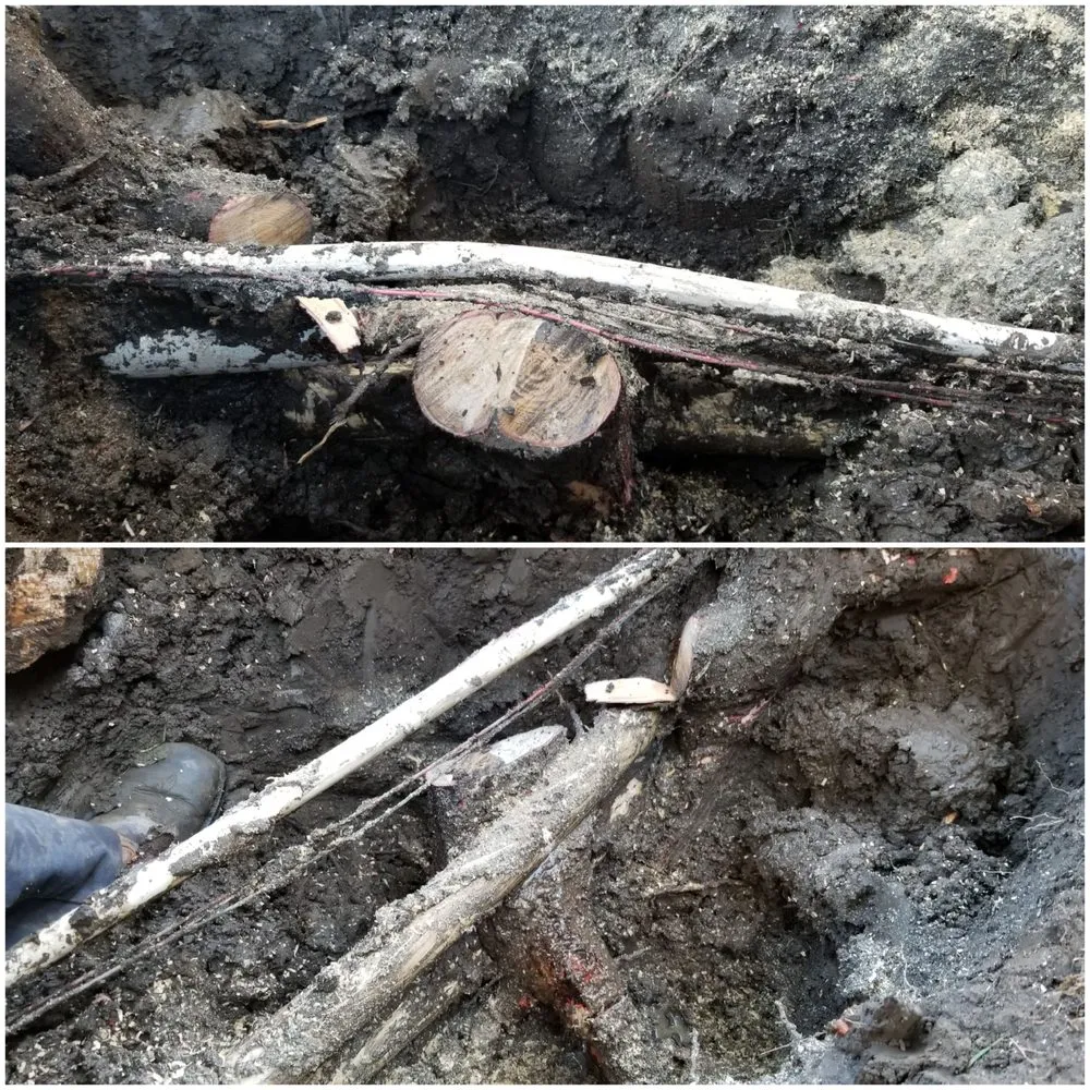 Trusted landscape installation in Visalia, CA - Advanced Landscape Management