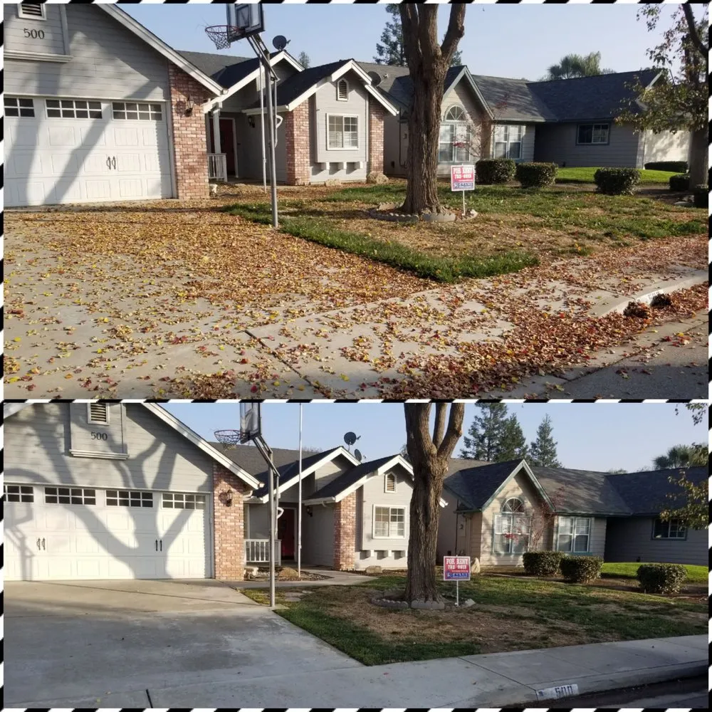 Reliable landscape design in Visalia, CA by Advanced Landscape Management