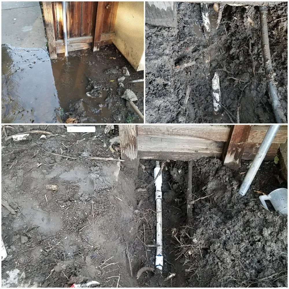 Trusted outdoor landscaping in Visalia, CA by Advanced Landscape Management